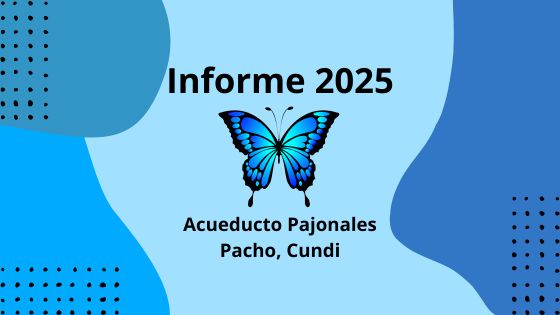 Informe 2025