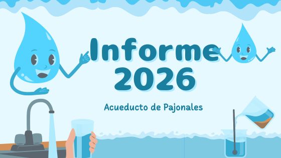 Informe 2026